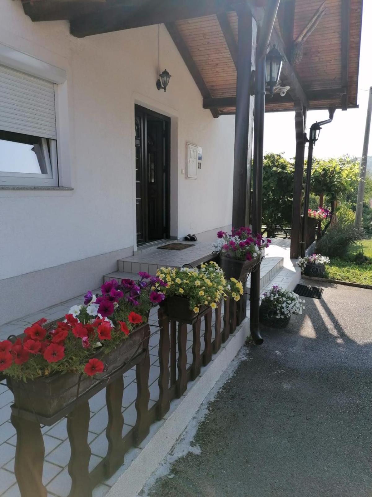 Hotel House Viktoria Selište Drežničko Zewnętrze zdjęcie