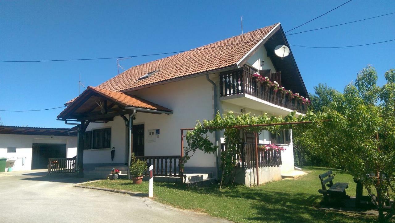 Hotel House Viktoria Selište Drežničko Zewnętrze zdjęcie
