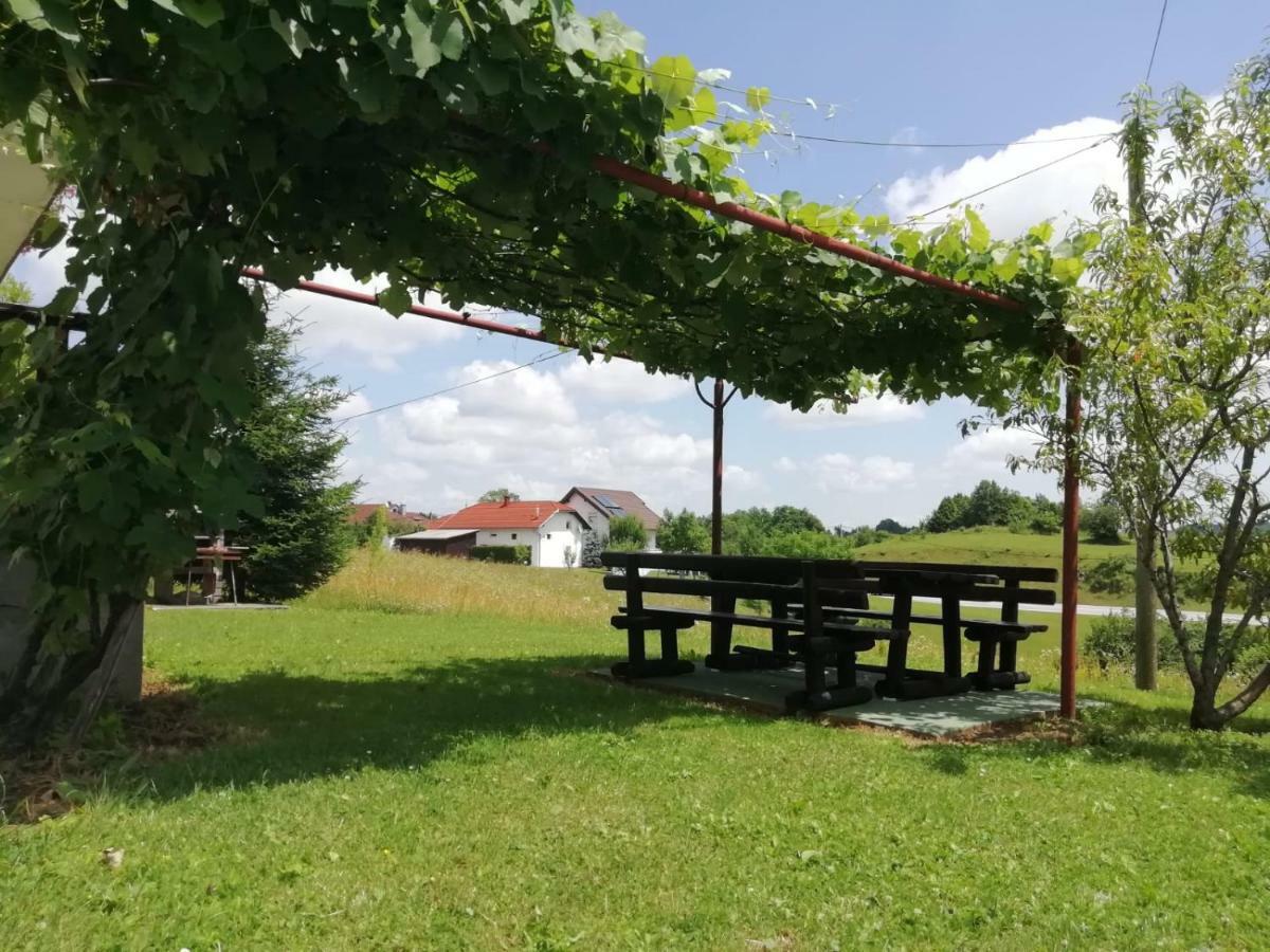 Hotel House Viktoria Selište Drežničko Zewnętrze zdjęcie