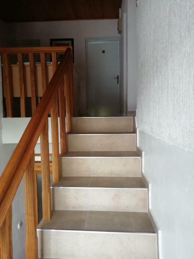 Hotel House Viktoria Selište Drežničko Zewnętrze zdjęcie